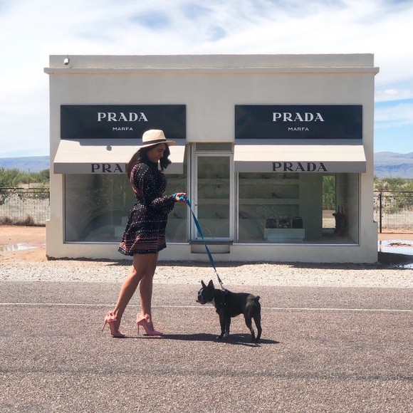 Meet your posher - Picture 8 of 9